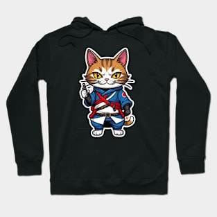 Cool cat assasin samurai Japan Hoodie